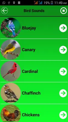 Bird Calls And Ringtones android App screenshot 2