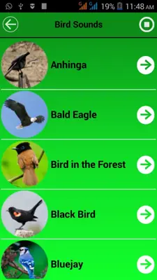 Bird Calls And Ringtones android App screenshot 3